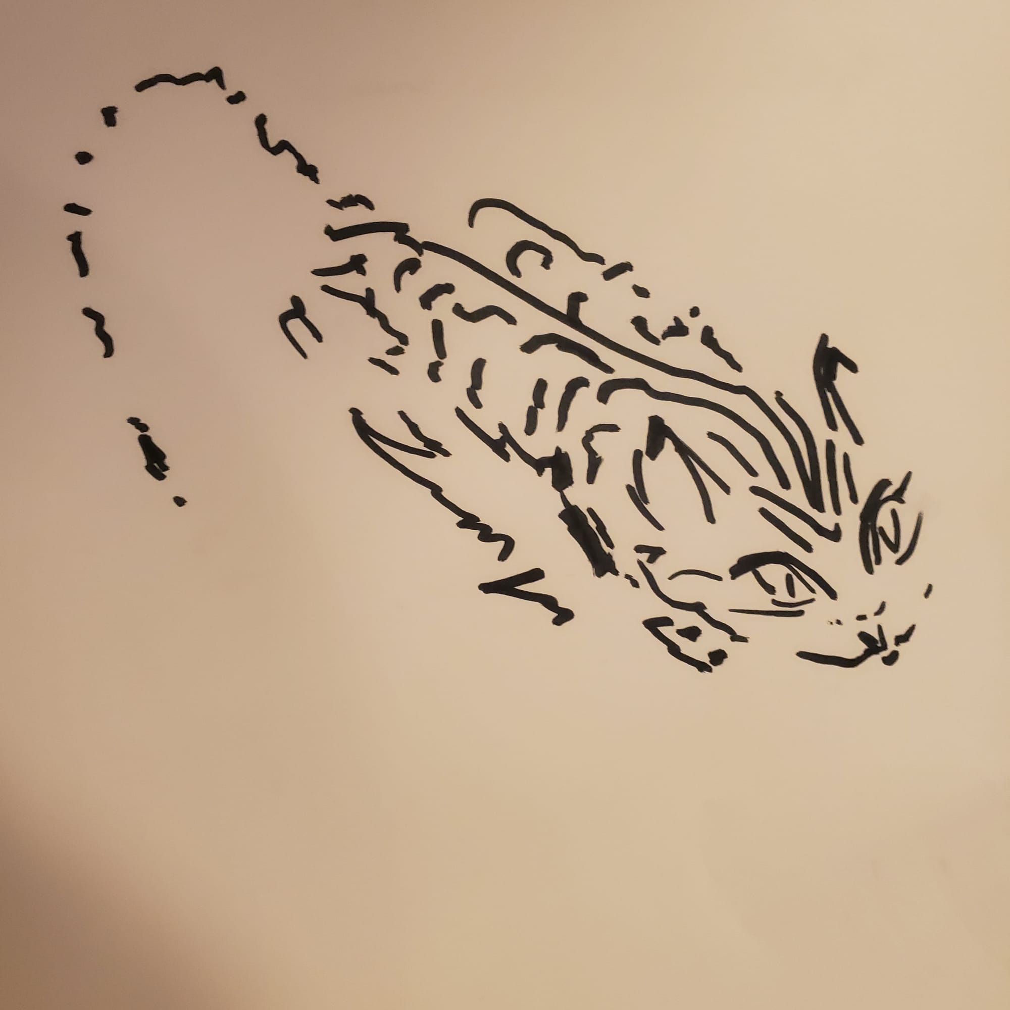 Wild Card Saturday: Sketchbook 2023