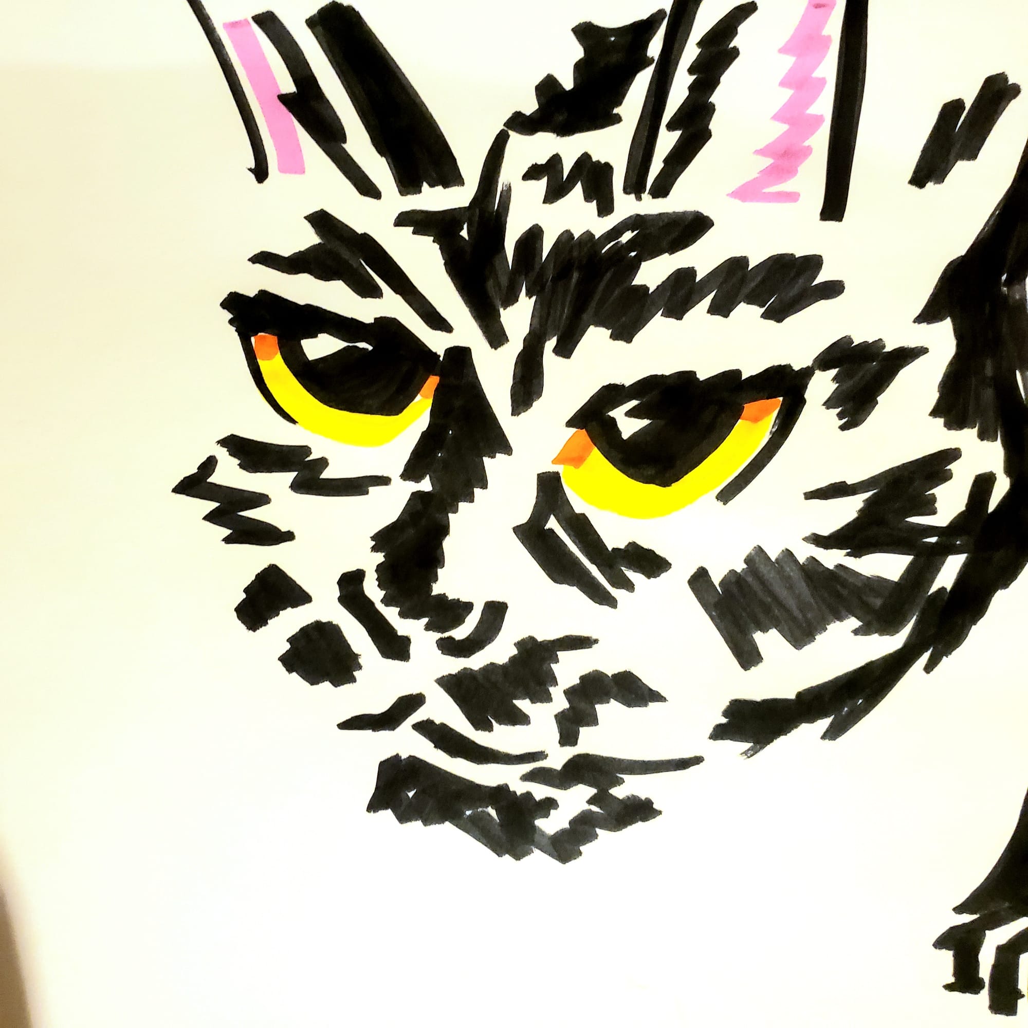 Wild Card Saturday: Sketchbook 2023