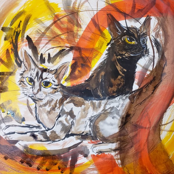 Wildcard Saturday: Turbodiesel & Meraki