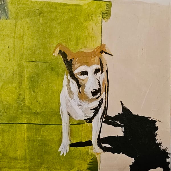 The Long Shadows We Cast